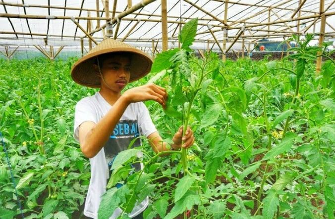 Ade Rukmana berhasil menjadi Direktur Utama Koperasi Produsen Agronative Pratama Indonesia (KPAPI).