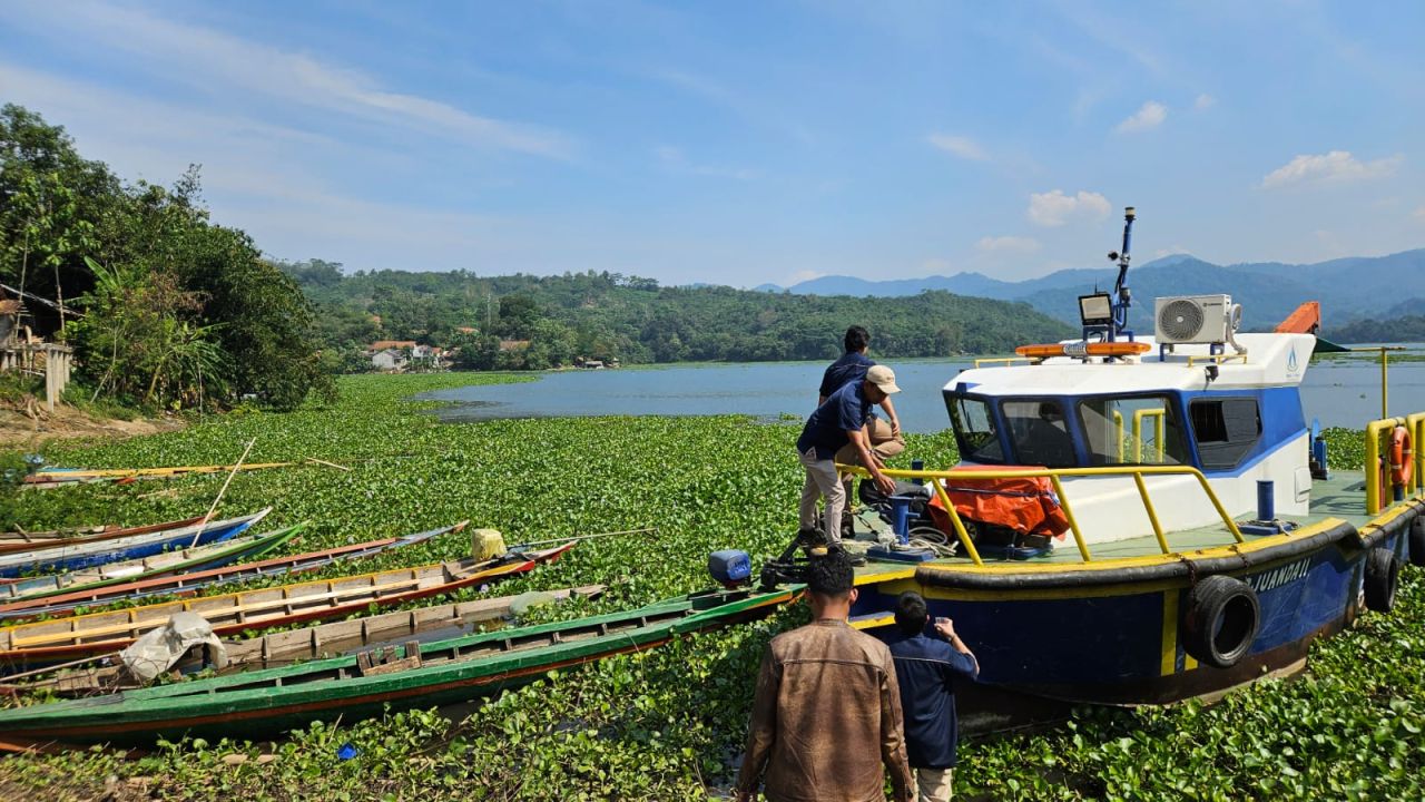 Hamparan eceng gondok di kawasan Waduk Jatiluhur.