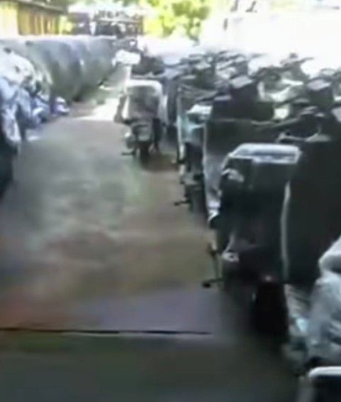 Beredar video ribuan sepeda motor listrik (molis) berlogo Badan Gizi Nasional (BGN) yang disebut-sebut untuk operasional Satuan Pelayanan Pemenuhan Gizi (SPPG) di Jawa Barat.