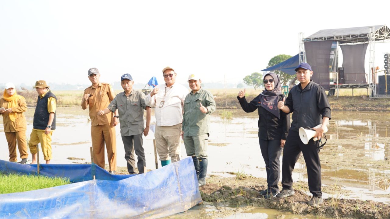 Pelaksanaan Gerakan Pengendalian (Gerdal) Penggerek Batang Padi (PBP) serentak yang diinisiasi Direktorat Perlindungan Tanaman Pangan Dirjen Tanaman Pangan Kementerian Pertanian RI di Desa Sukamakmur, Kecamatan Rawamerta, Karawang, Selasa (21/4/2026). Tampak   Direktur Perlindungan Tanaman Pangan Kementerian Pertanian Rachmat, bersama Kepala BPTPH Distanhor Jabar Nungke Rochjatti yang mewakili Kepala Distanhor Jabar beserta stakeholder pertanian lainnya.
